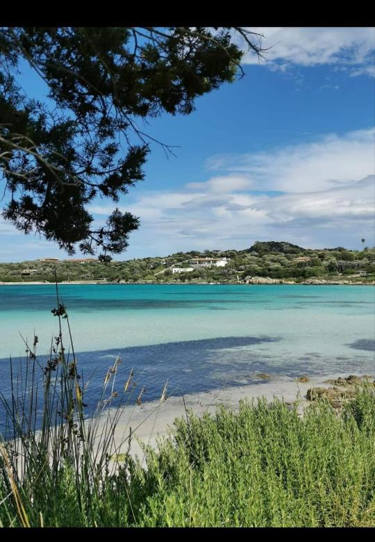B&B Marina Olbia Eksteriør bilde