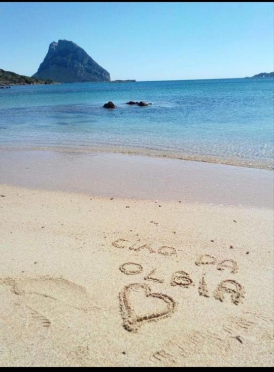 B&B Marina Olbia Eksteriør bilde